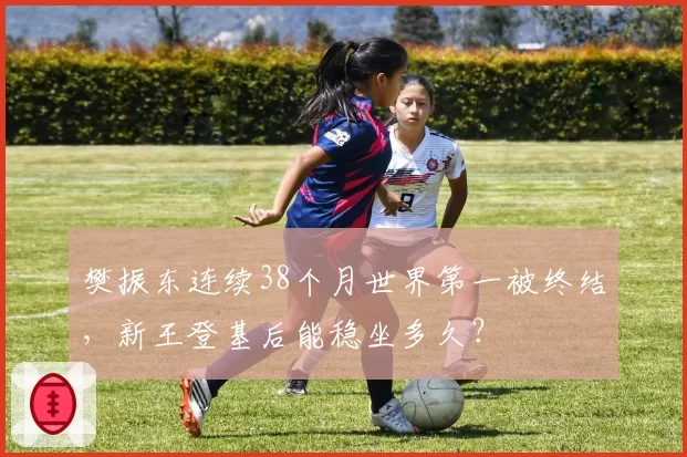 樊振东连续38个月世界第一被终结,新王登基后能稳坐多久?